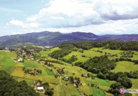 Wyrwigrosz i Baciary na Jubileuszu - zdjęcie główne