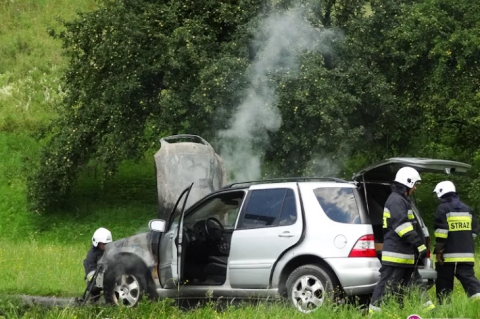 Pożar mercedesa - zdjęcie 2
