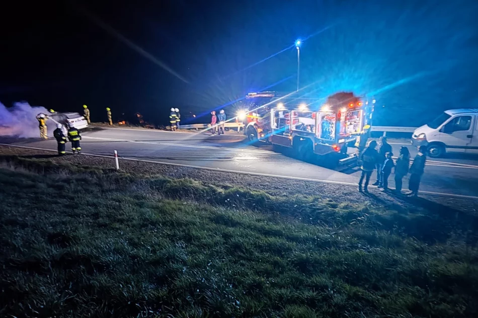 Spłonął samochód osobowy (wideo) - zdjęcie 3