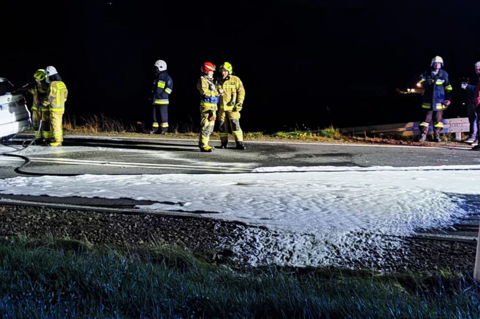Spłonął samochód osobowy (wideo) - zdjęcie 6
