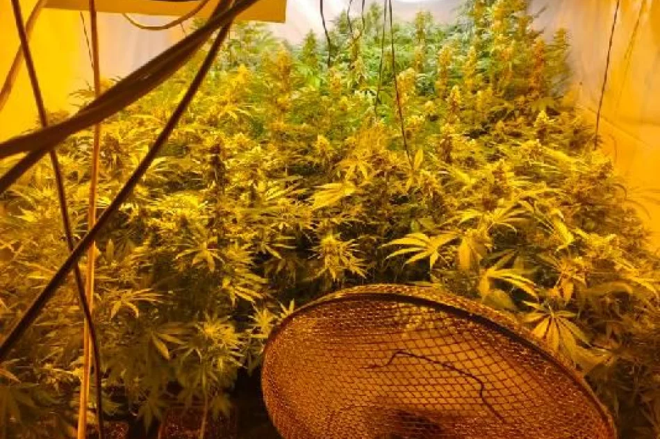 Małopolska: Rozbita siatka narkotykowa. Skrytki w… ziemi - zdjęcie 8