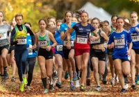 Zawodnicy Klubu „Limanowa Forrest” z medalami na Finale Grand Prix Małopolski w Biegach Przełajowych w Trzebini - zdjęcie główne