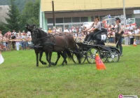 Powożenie zaprzęgami konnymi - zdjęcie główne