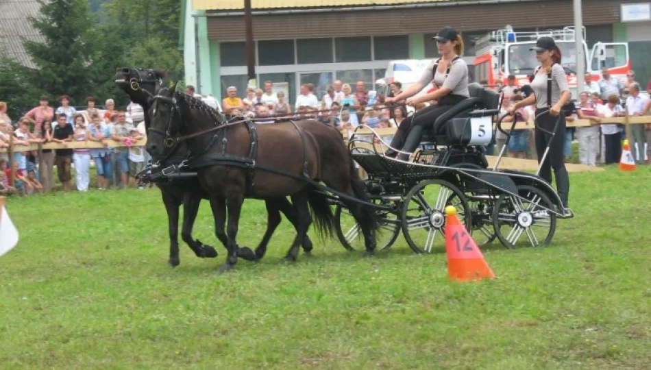 Powożenie zaprzęgami konnymi - zdjęcie 1