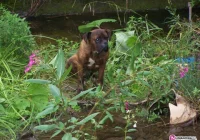 Dwa dni spędził w rzece - zdjęcie główne