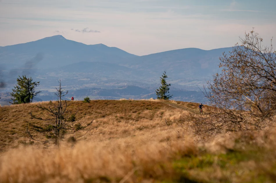 Zdjęcia: Przepiękna złota polska jesień w Małopolsce - na Mogielicy - zdjęcie 20