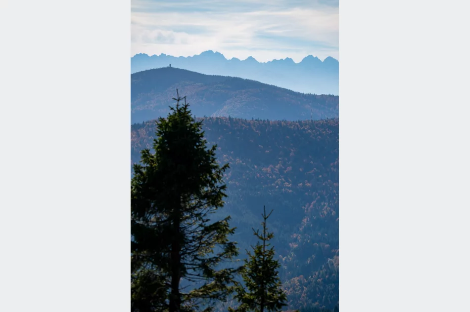 Zdjęcia: Przepiękna złota polska jesień w Małopolsce - na Mogielicy - zdjęcie 19