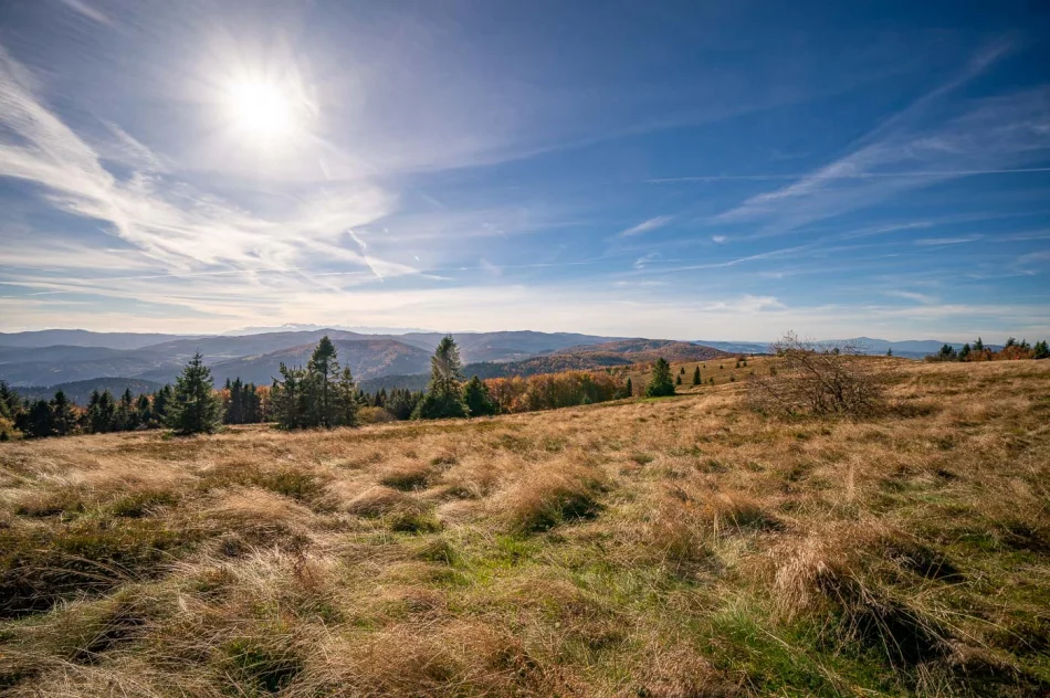 Zdjęcia: Przepiękna złota polska jesień w Małopolsce - na Mogielicy - zdjęcie 18