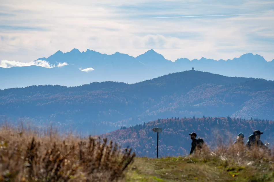 Zdjęcia: Przepiękna złota polska jesień w Małopolsce - na Mogielicy - zdjęcie 16