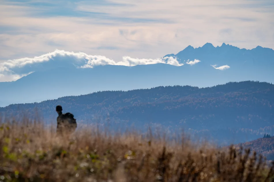 Zdjęcia: Przepiękna złota polska jesień w Małopolsce - na Mogielicy - zdjęcie 13