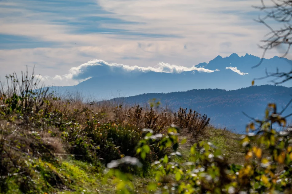 Zdjęcia: Przepiękna złota polska jesień w Małopolsce - na Mogielicy - zdjęcie 12
