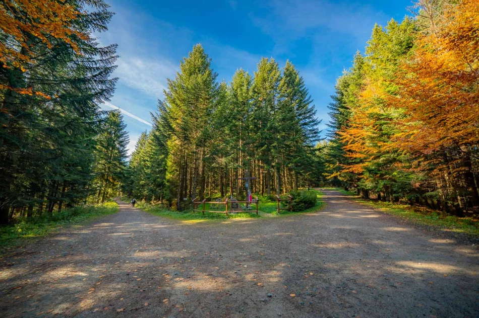 Zdjęcia: Przepiękna złota polska jesień w Małopolsce - na Mogielicy - zdjęcie 2