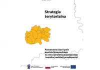 Konsultacje Strategii terytorialnej Partnerstwa miast i gmin powiatu limanowskiego - zdjęcie główne