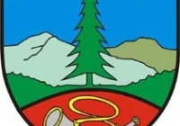 Kolonia dla dzieci z rodzin romskich - zdjęcie główne