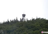 Głupota złodziei nie zna granic - zdjęcie główne