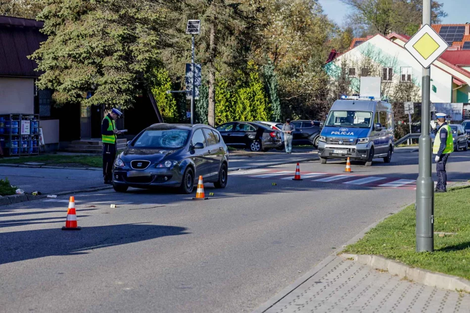 Ciężkie obrażenia potrąconego 74-latka - zdjęcie 4
