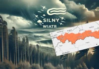 Silny wiatr: alert dla południa Polski - zdjęcie główne