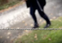 TVP: "zostaliśmy zaatakowani przez rozjuszony cygański tłum" (WIDEO) - zdjęcie główne