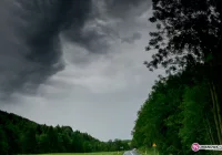 Trzy interwencje straży - zdjęcie główne