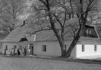 Przegląd przedwojennej prasy - cz. VIII - zdjęcie główne