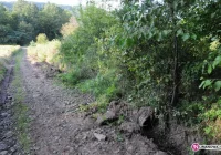 Apelacja oddalona. Burmistrz nie ukradł - zdjęcie główne