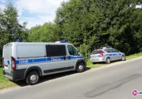 13 interwencji, były mandaty - zdjęcie główne