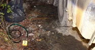 Złodziej złapany na gorącym uczynku. 43-latek w areszcie - zdjęcie 2