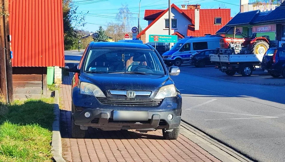 Mandat za potrącenie 15-latki na przejściu - zdjęcie 1
