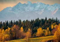 Prognoza pogody. W górach śnieg, a wysoko w Tatrach zamiecie śnieżne - zdjęcie główne