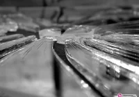 Uciekł z obawy przed rodzicami - zdjęcie główne