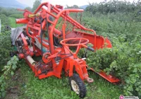 Wypadek 16-latki w sadzie - zdjęcie główne