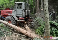 W lesie zginął 36-latek. Kierowca zatrzymany - zdjęcie główne