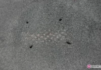 Drogowa „bezmyślność” - zdjęcie główne