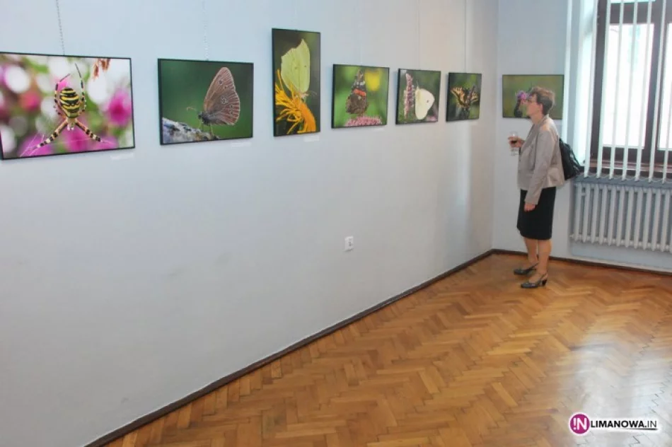 Fascynacje ze świata przyrody - zdjęcie 2