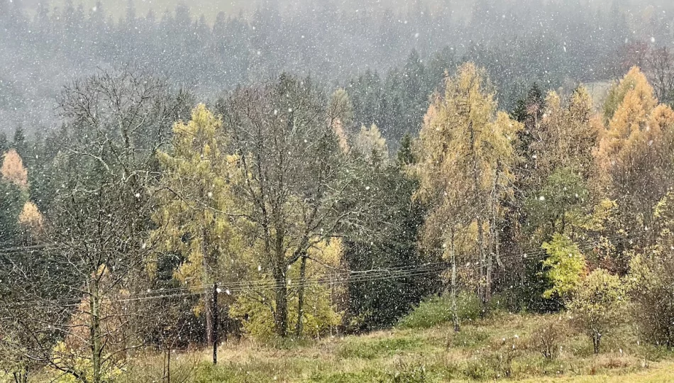 Pierwszy śnieg w Zakopanem i powiecie limanowskim (wideo) - zdjęcie 1