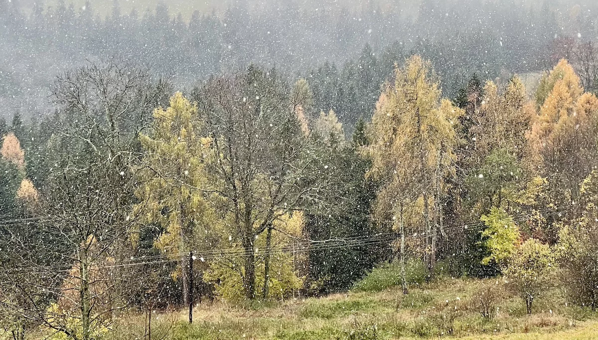 Pierwszy śnieg w Zakopanem i powiecie limanowskim (wideo)