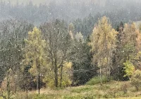 Pierwszy śnieg w Zakopanem i powiecie limanowskim (wideo) - zdjęcie główne