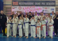 Kolejne medale dla karateków z Limanowskiego Klubu Kyokushin Karate - zdjęcie główne