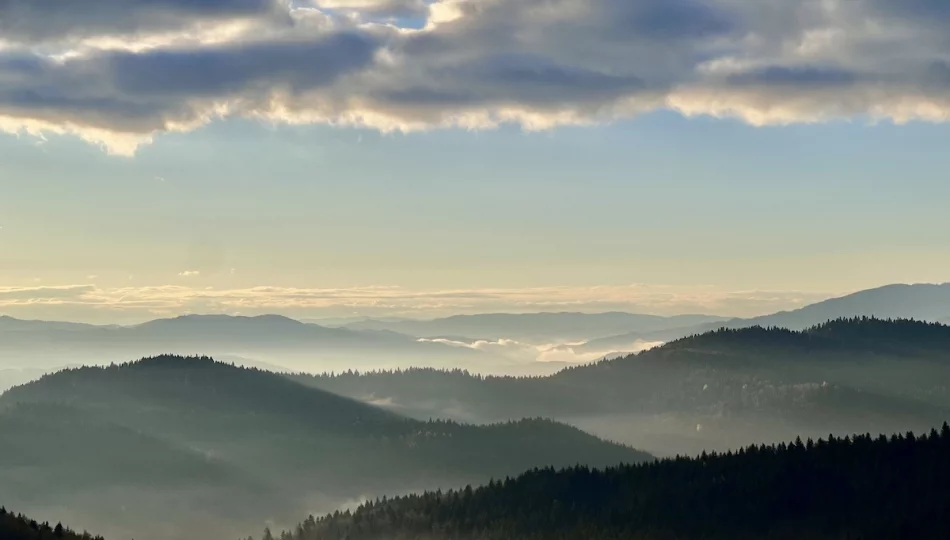 Dziś w kraju i na świecie  - zdjęcie 1