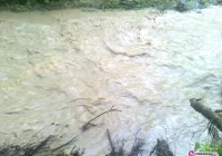 Gwałtowna burza, ulewa i gradobicie - zdjęcie główne