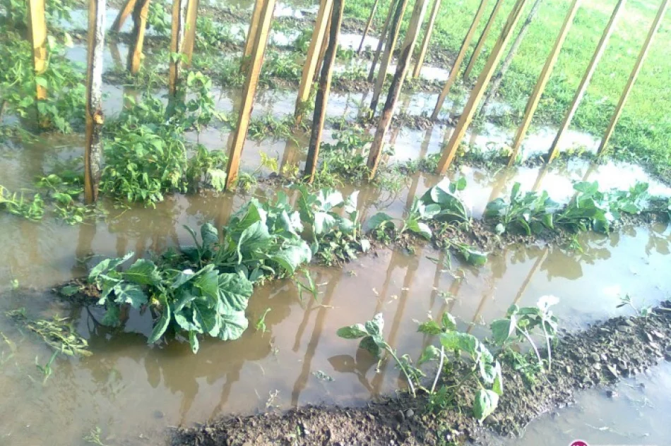 Gwałtowna burza, ulewa i gradobicie - zdjęcie 2