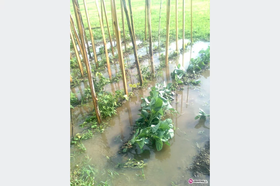 Gwałtowna burza, ulewa i gradobicie - zdjęcie 3