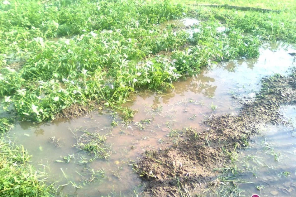 Gwałtowna burza, ulewa i gradobicie - zdjęcie 4