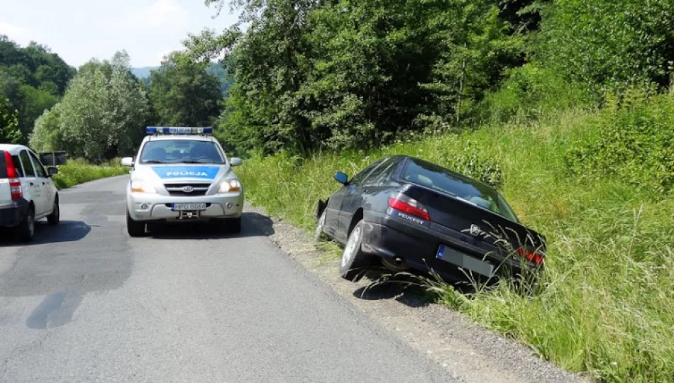 Samochód w rowie. Kierowcy nie było - zdjęcie 1