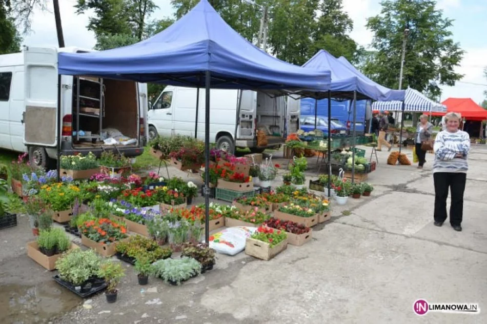 Targowisko - zobacz wizualizację - zdjęcie 4