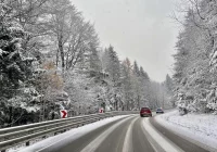 Prognoza pogody na kolejne 7 dni - deszcz, śnieg i wiatr - zdjęcie główne