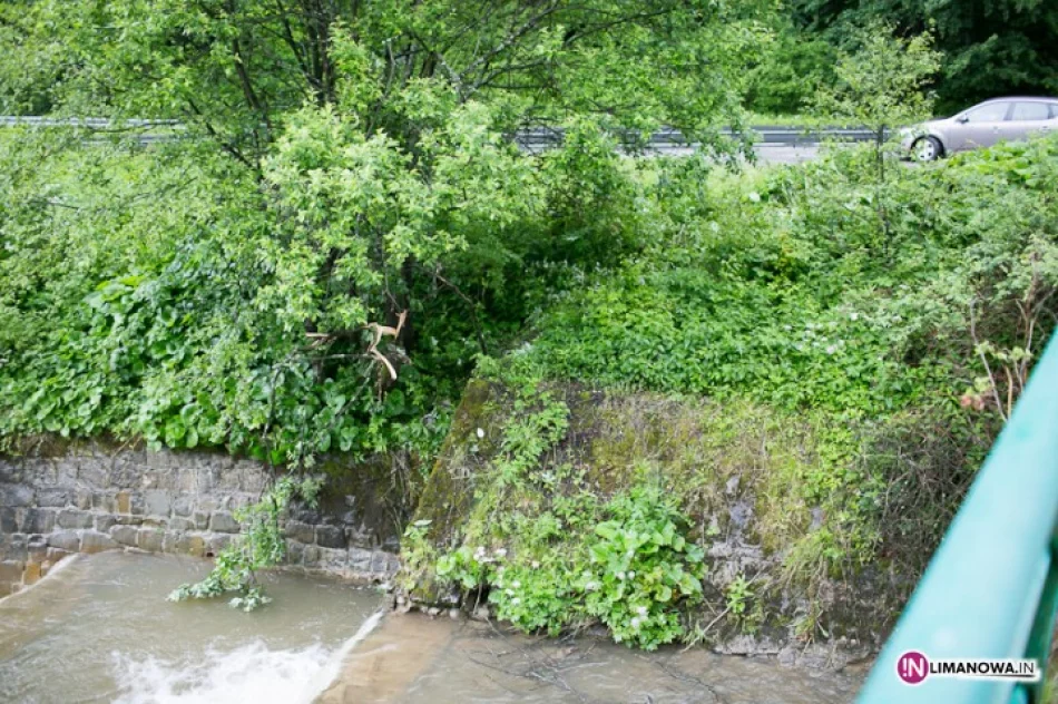 Samochód wpadł do rzeki. 24-latek w szpitalu - zdjęcie 3