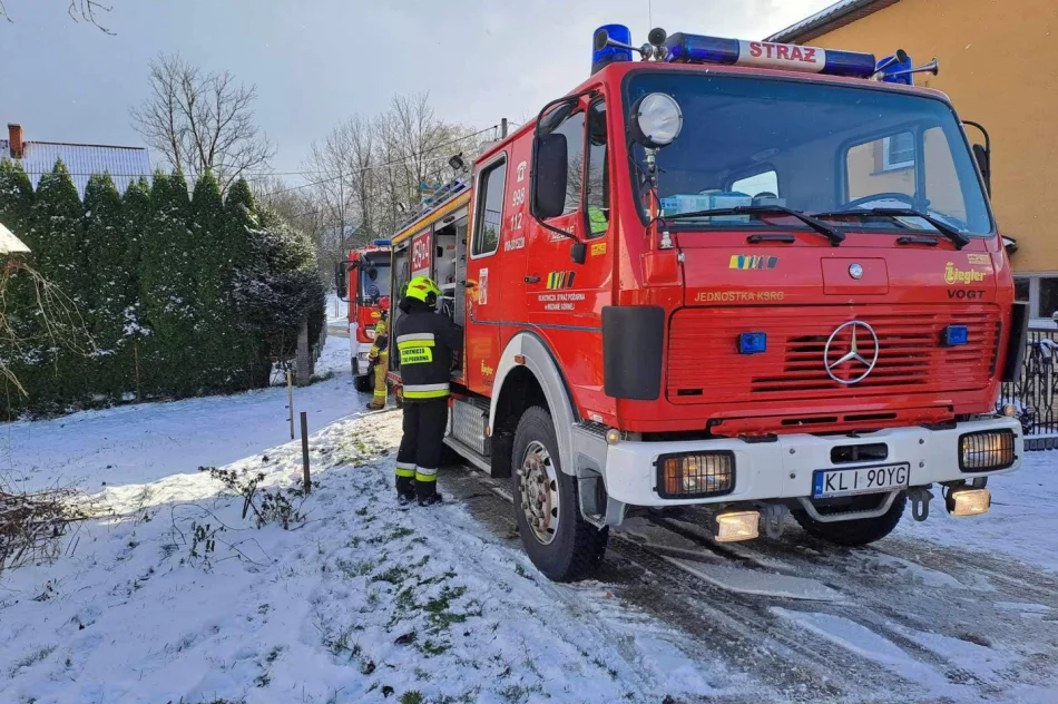 Strażacy ugasili pożar samochodu - zdjęcie 2