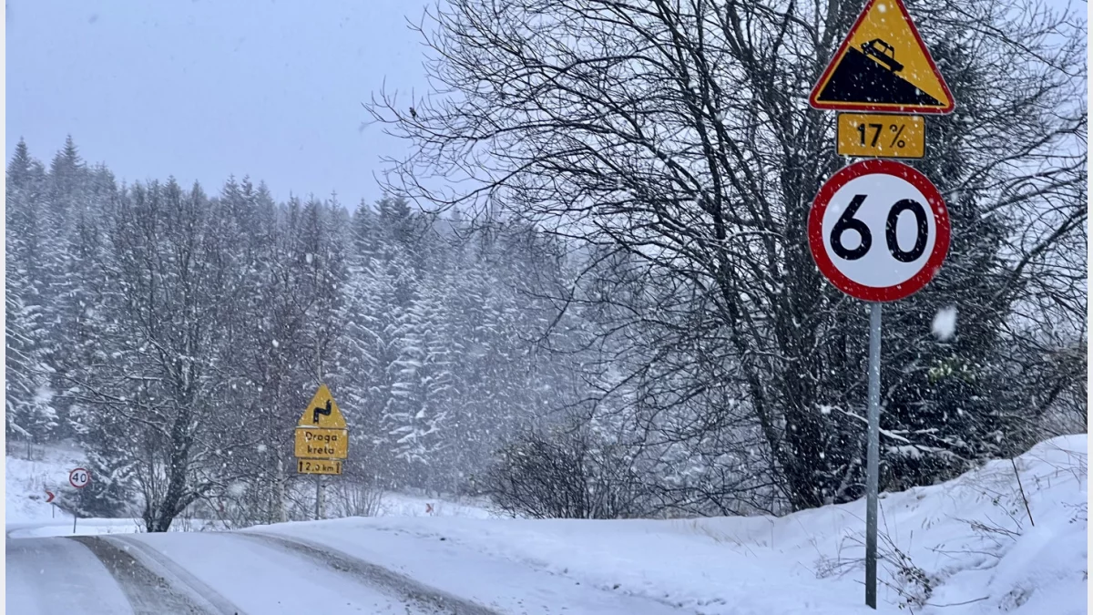 Zdjęcie ilustracyjne (archiwum portalu)