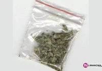 Narkotyki problemem Limanowszczyzny - zdjęcie główne